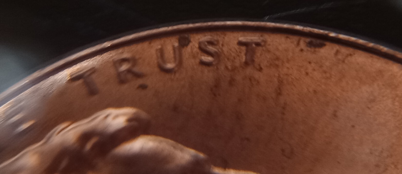 *different*-2021-D-Shield-Penny-Die-Chip?