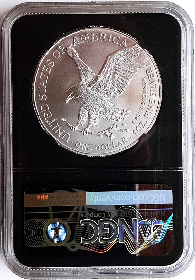 G-L-B-49's-American-Silver-Eagle-Collection