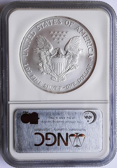 G-L-B-49's-American-Silver-Eagle-Collection