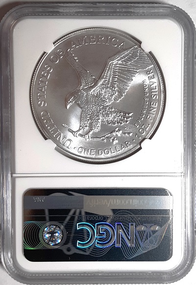 G-L-B-49's-American-Silver-Eagle-Collection
