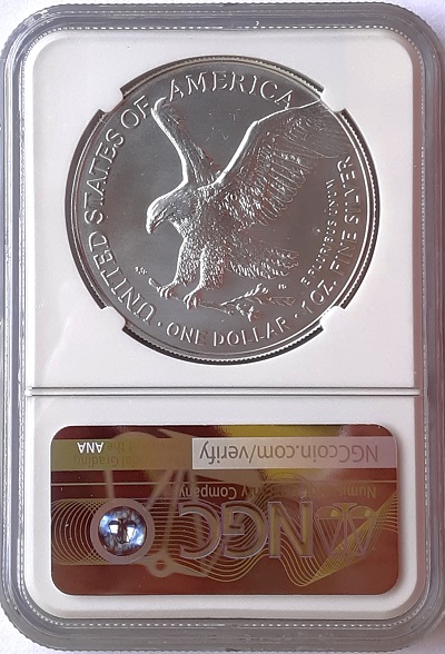 G-L-B-49's-American-Silver-Eagle-Collection