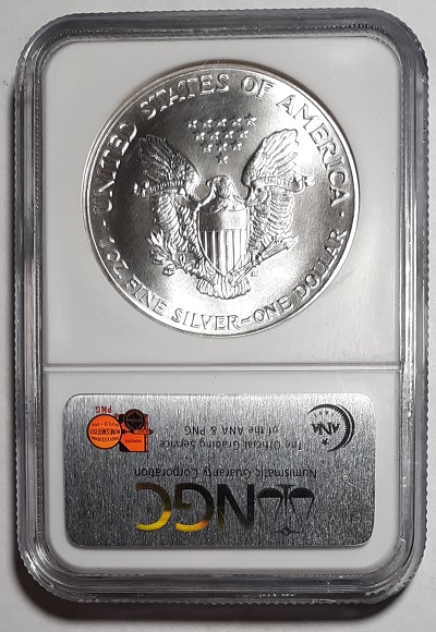 G-L-B-49's-American-Silver-Eagle-Collection