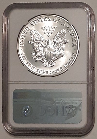 G-L-B-49's-American-Silver-Eagle-Collection