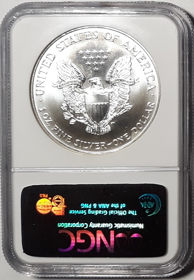 G-L-B-49's-American-Silver-Eagle-Collection