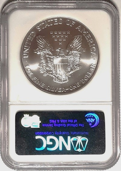 G-L-B-49's-American-Silver-Eagle-Collection