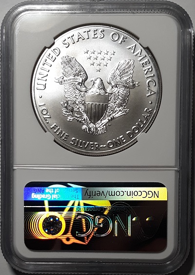 G-L-B-49's-American-Silver-Eagle-Collection