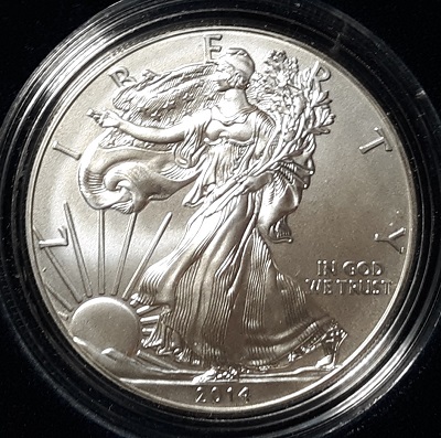 G-L-B-49's-American-Silver-Eagle-Collection