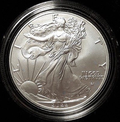G-L-B-49's-American-Silver-Eagle-Collection
