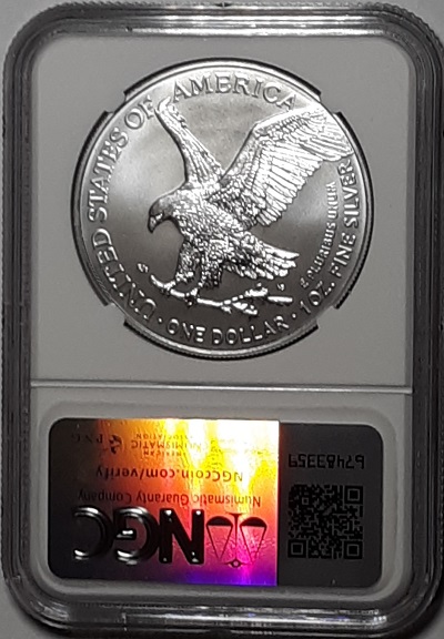 G-L-B-49's-American-Silver-Eagle-Collection