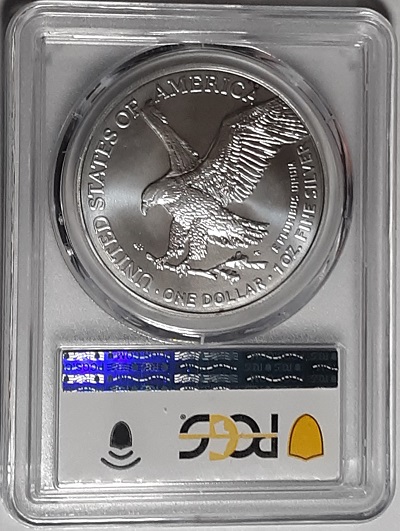 G-L-B-49's-American-Silver-Eagle-Collection