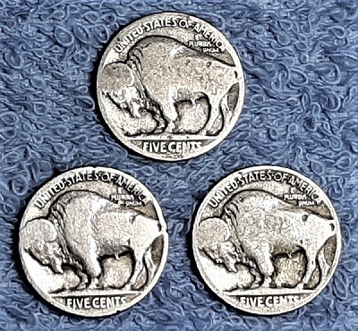 Post-Your-Coins-Representing-The-Animal-Kingdom.