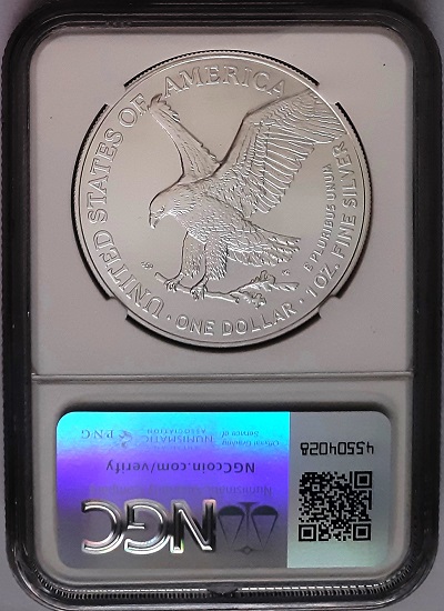 G-L-B-49's-American-Silver-Eagle-Collection