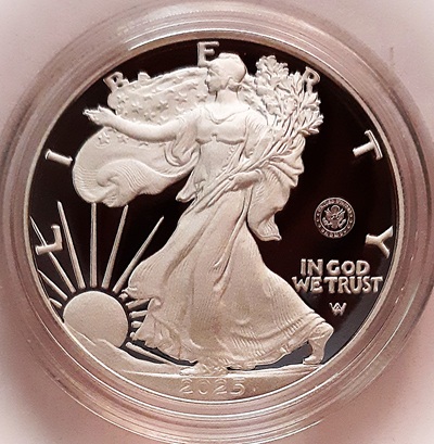 G-L-B-49's-American-Silver-Eagle-Collection