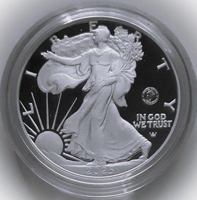 G-L-B-49's-American-Silver-Eagle-Collection