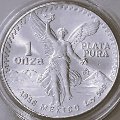 G-L-B-49's-Silver-Libertad-Collection