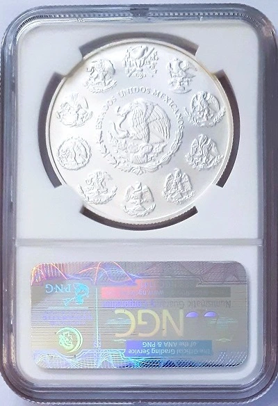 G-L-B-49's-Silver-Libertad-Collection