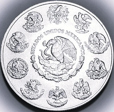G-L-B-49's-Silver-Libertad-Collection