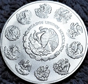G-L-B-49's-Silver-Libertad-Collection