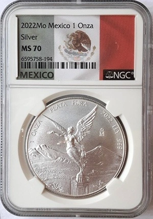 G-L-B-49's-Silver-Libertad-Collection