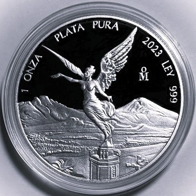 G-L-B-49's-Silver-Libertad-Collection