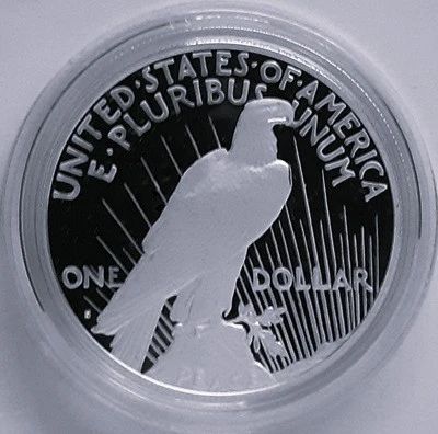 G-L-B-49's-Random-Silver-Coins