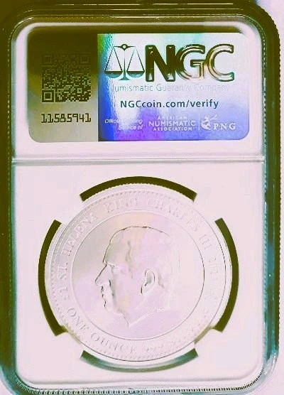 G-L-B-49's-MS-70-Perfect-Silver-Coins