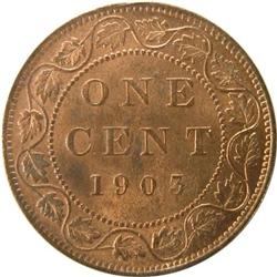40-Days-Of-Canada-Large-Cents-1858-1920