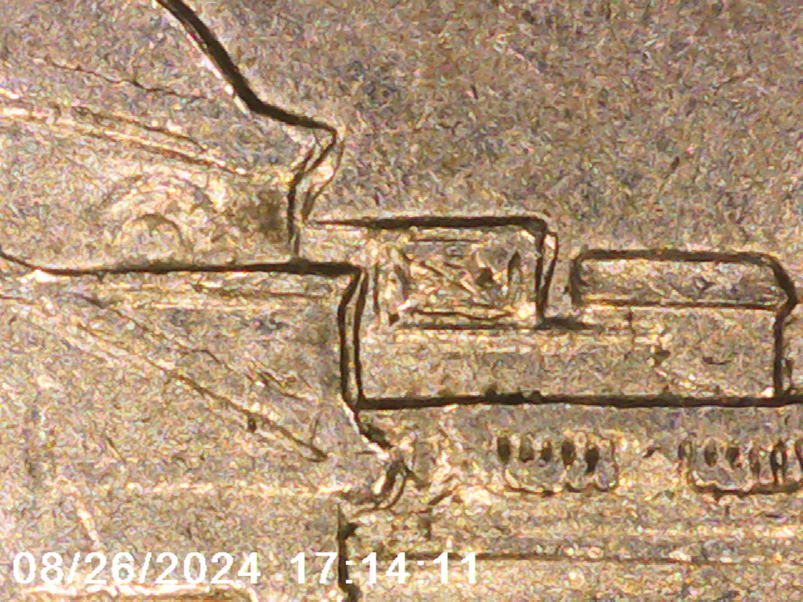 1999-P-Nickel-Full-Of-MDS-Or-Are-They-DDs?