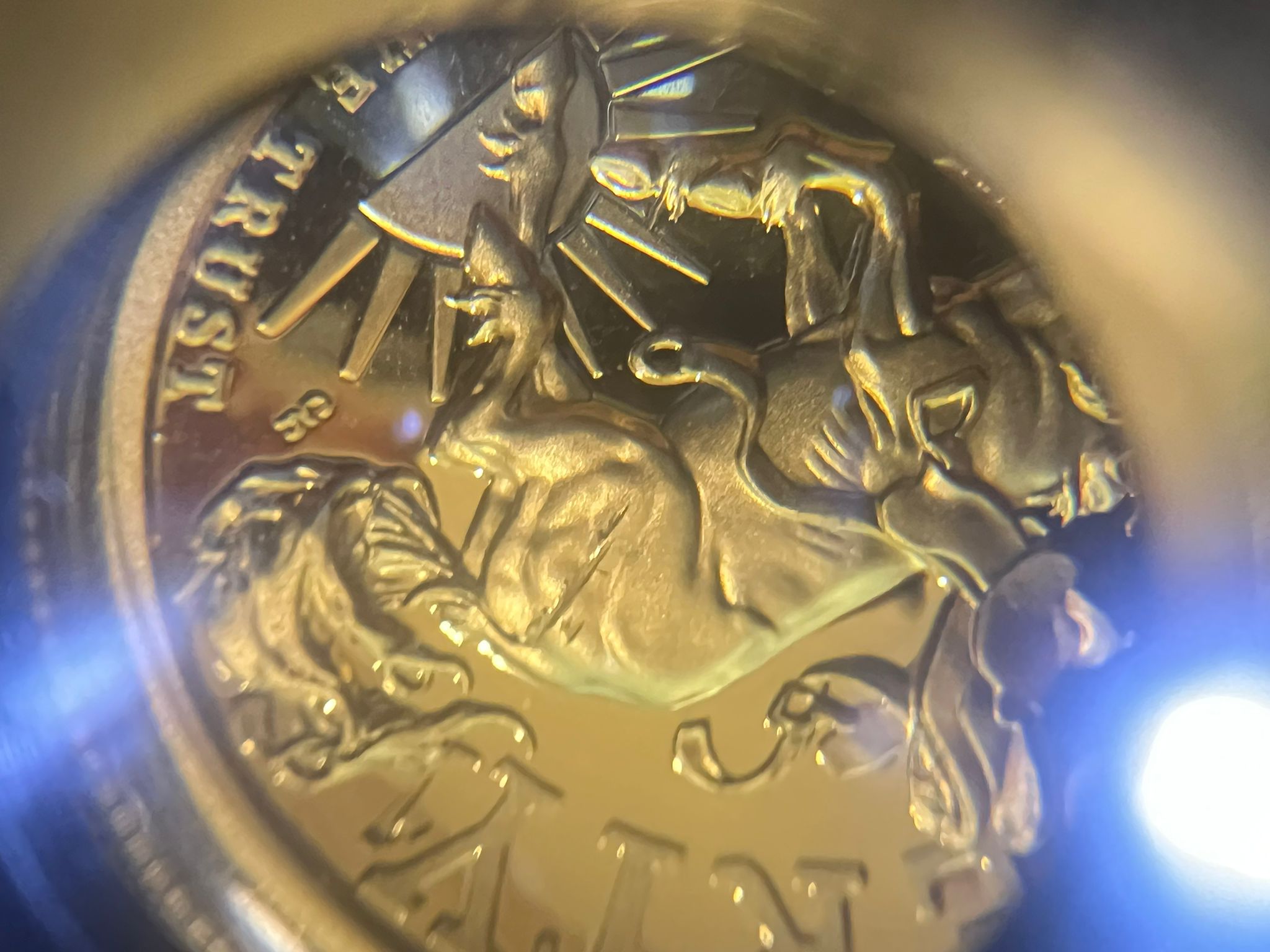 Is-This-?-2021-W-American-Liberty-High-Relief-Gold-Coin---Strike-Thru-Mint-Error?