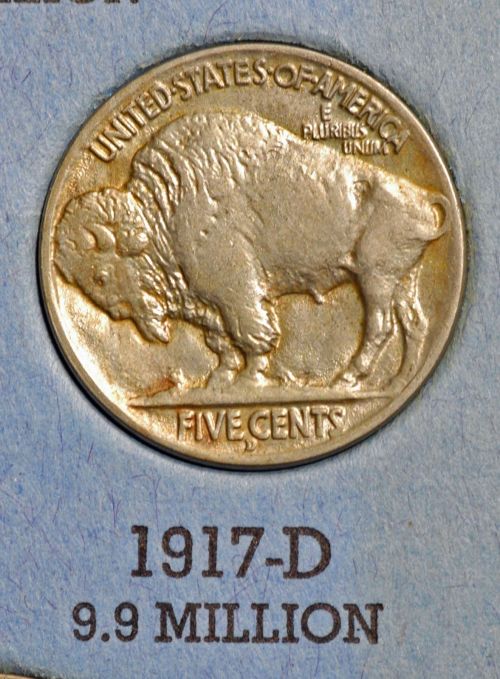 The-23-Days-Of-Buffalo-Nickels-Ii