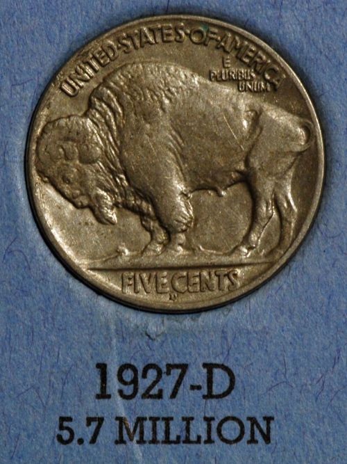 The-23-Days-Of-Buffalo-Nickels-Ii