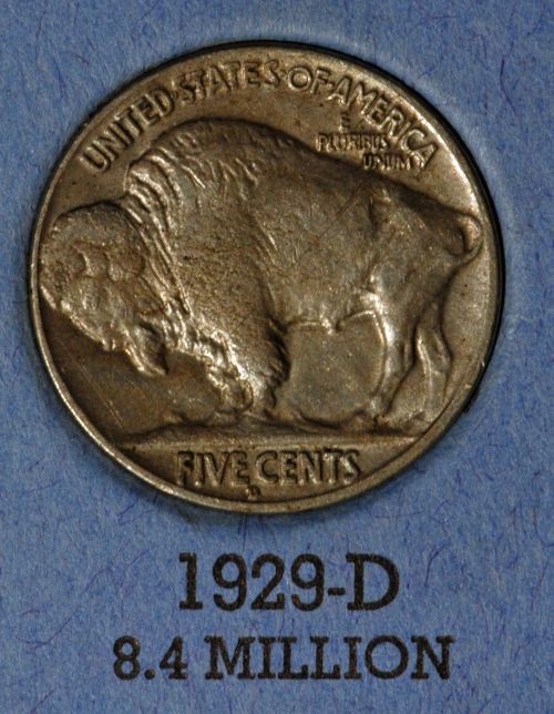 The-23-Days-Of-Buffalo-Nickels-Ii