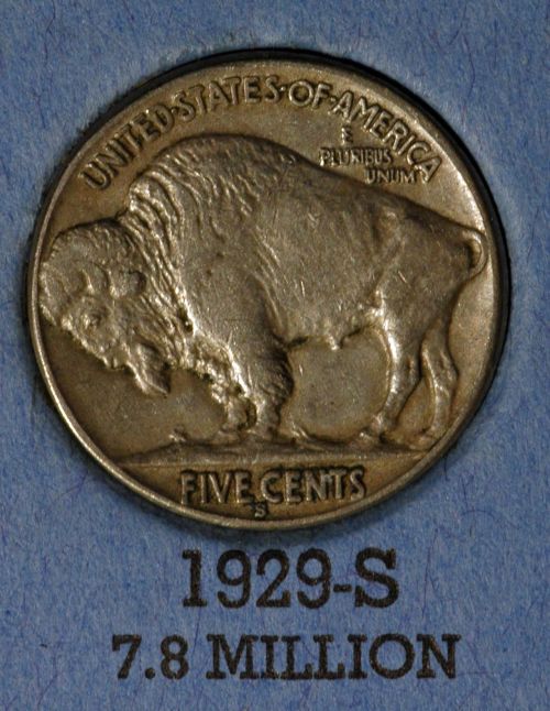 The-23-Days-Of-Buffalo-Nickels-Ii
