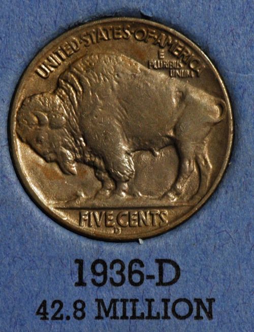 The-23-Days-Of-Buffalo-Nickels-Ii