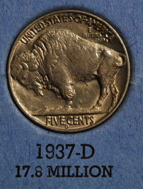 The-23-Days-Of-Buffalo-Nickels-Ii
