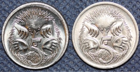 Noodling-Find-Of-The-Week?