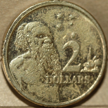 $2---Rusted-Die?-Can-You-Tell-Me?