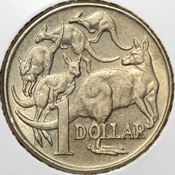 Overgraded-PCGS-Dollar-Mule