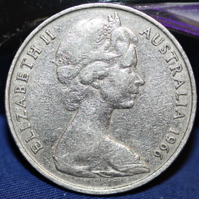 Noodling-Find-Of-The-Week?