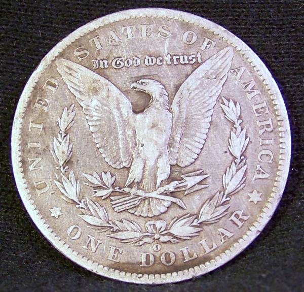 Help-A-Newbie-Grade-Some-Morgans?