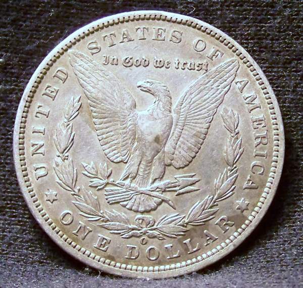 Help-A-Newbie-Grade-Some-Morgans?