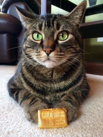 Counterfeit-Gold-Bullion-Paper-Bars-USA-Listing-Scams-Seller-Babygirl3363
