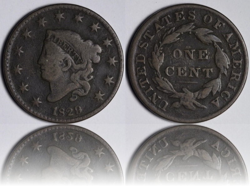 Continuing-List-To-Show-Everyones-Latest-Acquisitions
