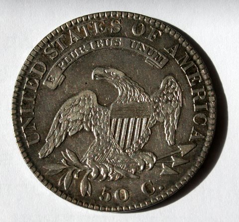 Bust-Half---Would-You-Upgrade-Or-Not?