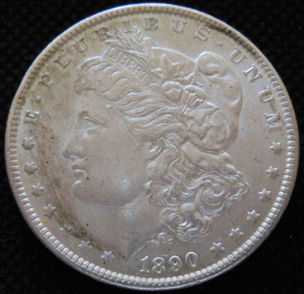 First-Attempt-At-Photog