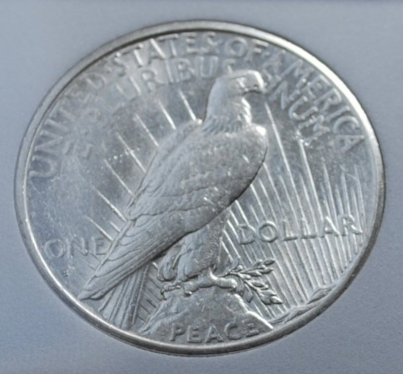 Help-Grading-Peace-Dollar