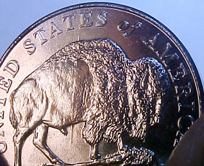 Speared-Buffalo-Nickel