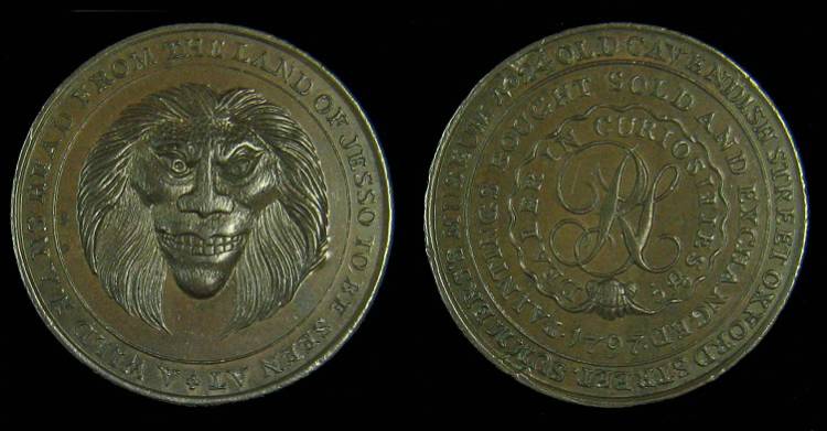 Fantasy-Land---Dream-Coin...