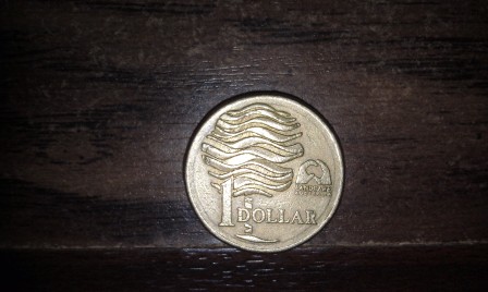 Is-This-A-Mule-Coin-?