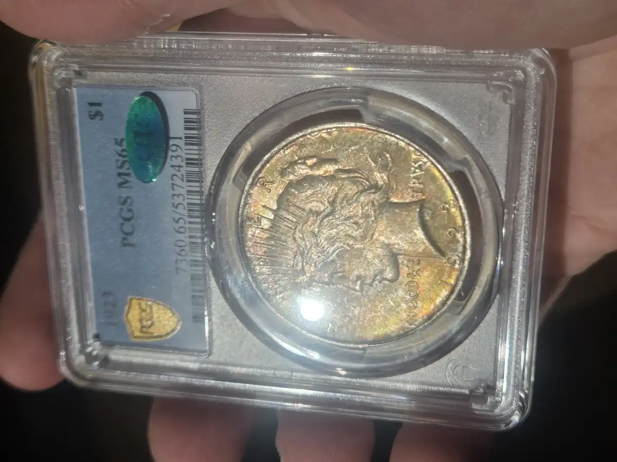 1923-Peace-Dollar-You-Vs-PCGS
